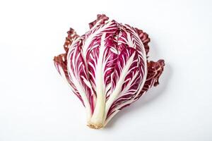 Red Chicory on White Background photo
