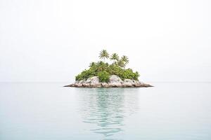 Palm Trees on a Small Island in the Ocean photo