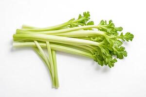 Fresh Celery Stalks on White Background photo