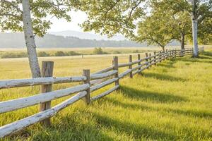 Rustic Whitewashed Fence in a Green Field photo
