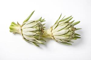 Fresh Green Artichoke Buds Isolated on White Background photo