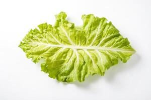 Single Lettuce Leaf Isolated on White Background photo