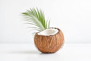 Coconut with Palm Leaf on White Background photo