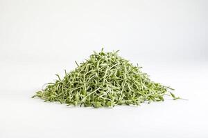 verde microgreens en blanco antecedentes foto