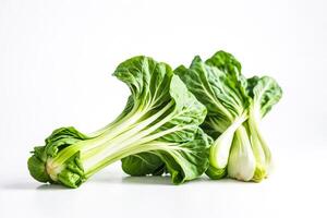Fresco verde suizo acelga en blanco antecedentes foto