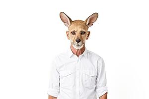 Man with Kangaroo Head in a White Shirt photo