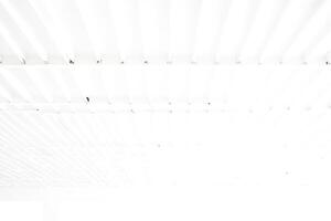 White Ceiling with Grid Pattern photo