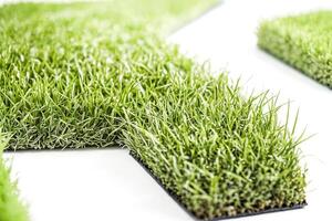 Green Grass Texture with White Background photo