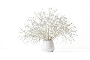 White Branches in a White Vase photo