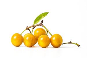 Fresh Yellow Plums on a Branch photo