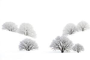 Snowy Trees in a Winter Landscape photo