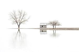 Minimalist Cabin and Trees Reflected in Still Water photo