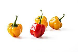 Yellow and Red Peppers on White Background photo