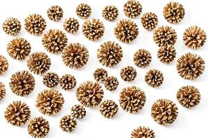 Rustic Brown Pine Cones on White Background photo