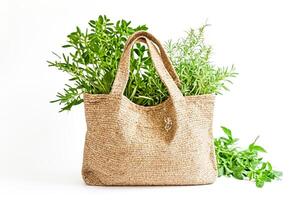 Fresh Herbs in a Straw Bag on White Background photo