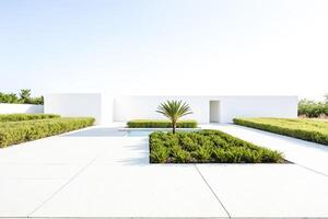 Minimalist White Architecture with Palm Tree and Pool photo