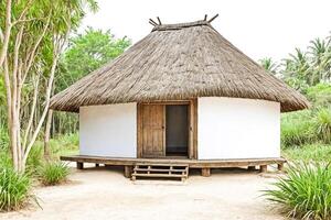 Traditional thatched roof hut in a tropical setting photo