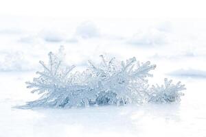 Frozen Ice Crystals on a Snowy Surface photo