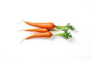 Three Fresh Carrots with Greens Isolated on White Background photo