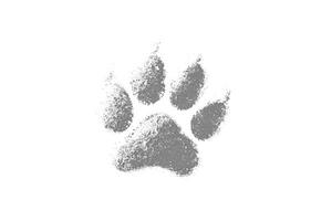 Grunge Grey Paw Print photo