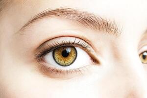 Close-up of a beautiful hazel eye with long eyelashes photo