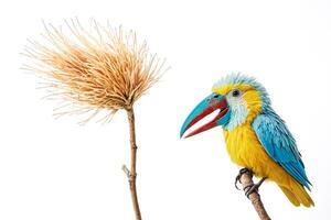 Colorful Toucan Perched on a Branch with Dried Grass photo
