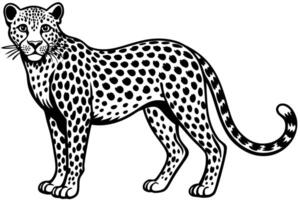 Funny Cheetah Illustration, Cartoon Clipart, and Line Art Design on White Background, Funny cheetah illustration, cartoon clipart, and line art design on white background. vector