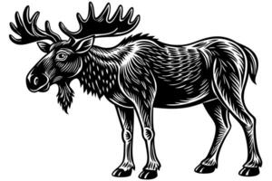 Funny Moose Illustration, Cartoon, Clipart, and Line Art Design on White Background, Funny moose illustration, cartoon, clipart, and line art design on a white background vector