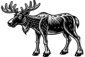 Funny Moose Illustration, Cartoon, Clipart, and Line Art Design on White Background, Funny moose illustration, cartoon, clipart, and line art design on a white background vector