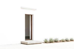 Minimalist White Wall with Door and Succulents photo