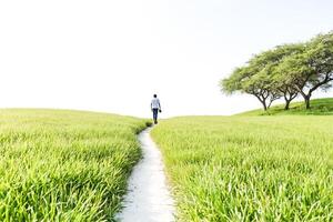 Man walking on a path in a green field photo