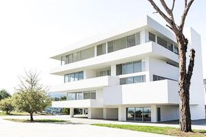 Modern White Building with Large Windows and a Tree photo