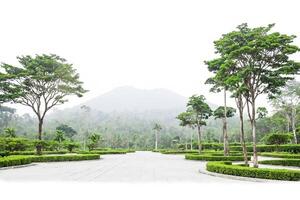 Empty Pathway in a Lush Green Garden with a Mountain in the Background photo