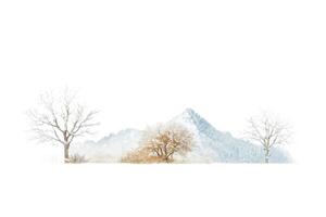 Winter landscape with snow-covered trees and a mountain in the background photo