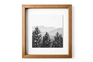 Framed Black and White Photo of Mountains and Pine Trees