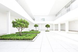 Minimalist Architecture With Greenery photo