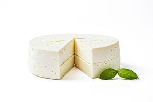 Fresh White Cheese with Basil Leaves photo