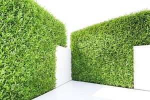 Lush Green Grass and White Wall Corner photo