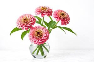 Pink Zinnia Flowers in a Glass Vase on a White Marble Surface photo