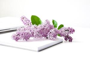 Lilac Branch on Notebook on White Background photo