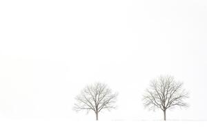 Two bare trees in a snow-covered field photo