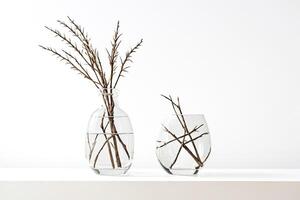 Two Glass Vases With Dried Branches On A White Background photo