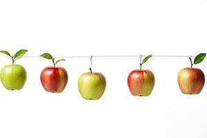Red and Green Apples Hanging on a String photo