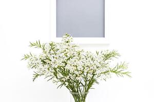 White Flowers in a Vase Against a White Background photo