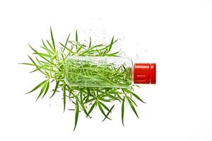 Clear Bottle with Green Leaves and Red Lid, Water Splash photo