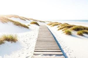 Wooden path through the sand dunes leading to the beach photo