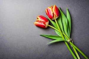 Two Tulips on a Grey Background photo