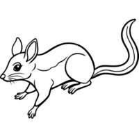 Degu mouse looks icon vector