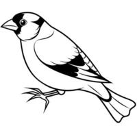 Dikkop bird speaks icon vector