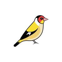 Dikkop bird cries icon vector